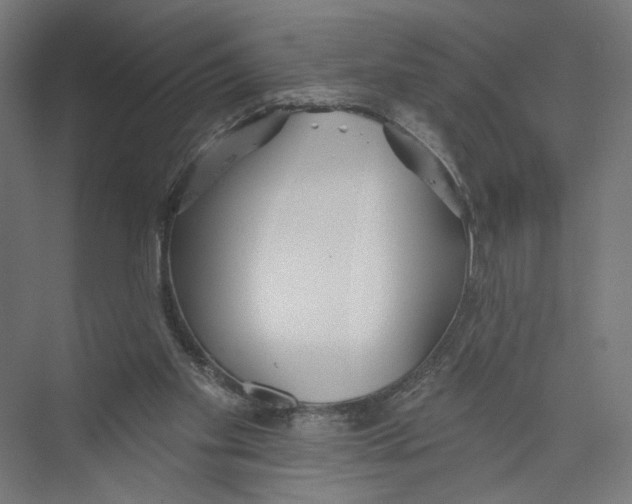 X0000075350109200610061731