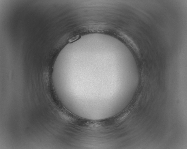 X0000075350113200610061731