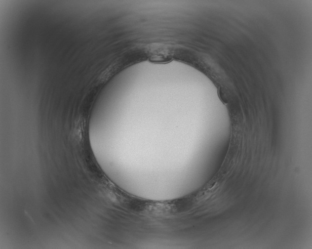 X0000075350125200610061731