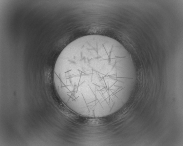 X0000075350127200610061731