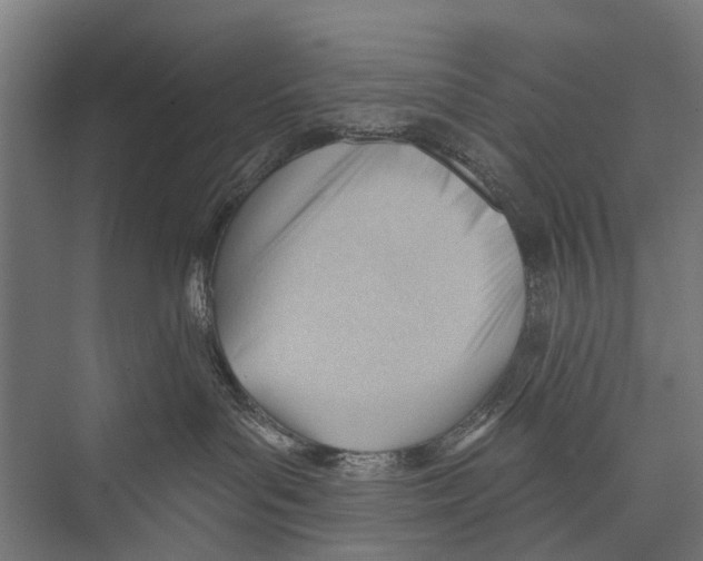 X0000075350143200610061730