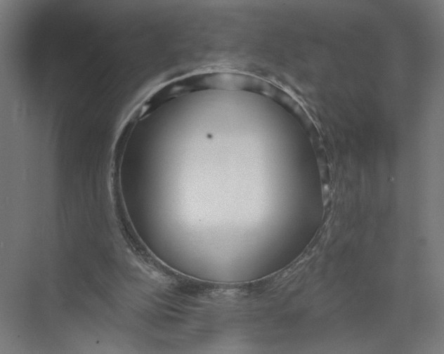 X0000075350152200610061730