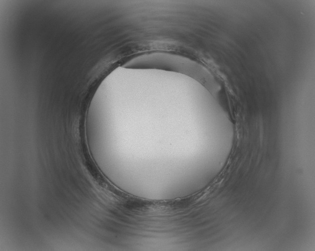 X0000075350154200610061730