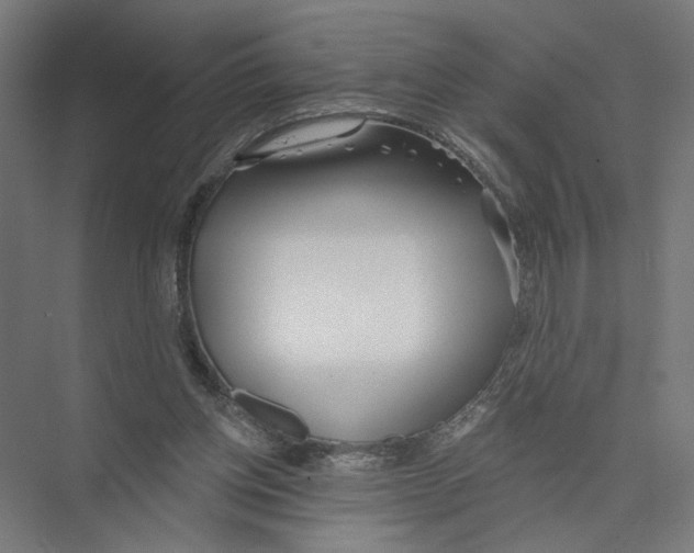 X0000075350158200610061730