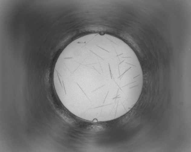 X0000075350159200610061730
