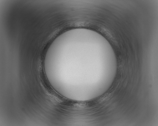 X0000075350164200610061730