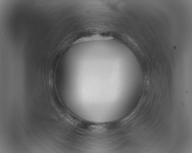 X0000075350170200610061730