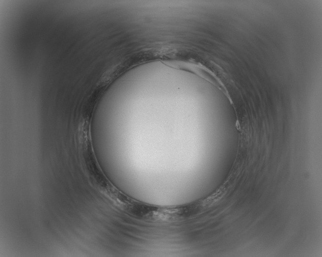 X0000075350172200610061730