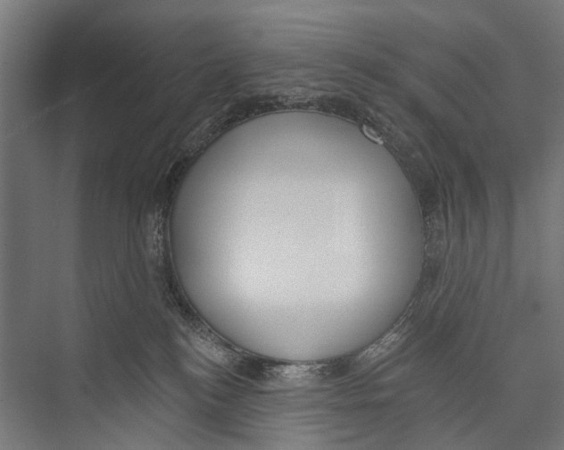 X0000075350184200610061730