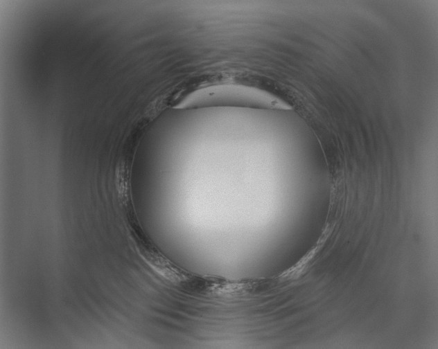 X0000075350186200610061730