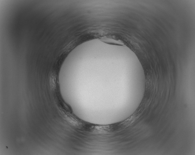 X0000075350188200610061730