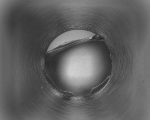 X0000075350192200610061730