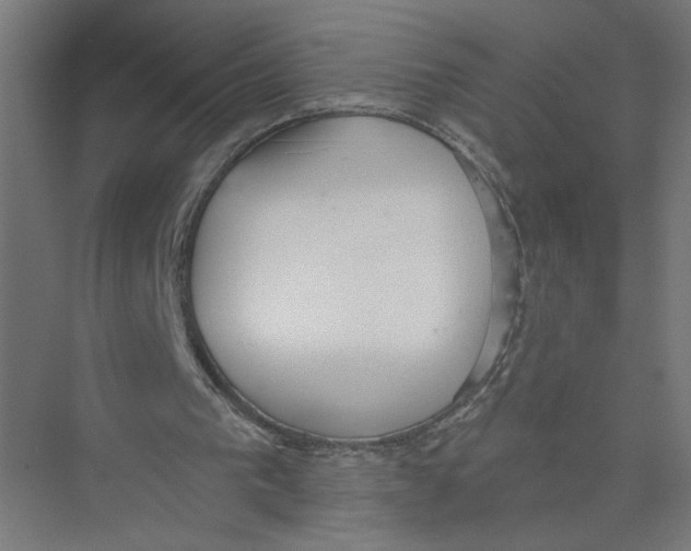 X0000075350193200610061730