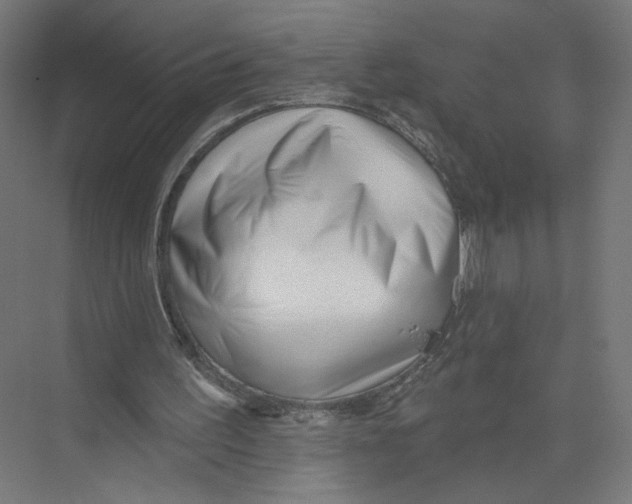X0000075350195200610061730