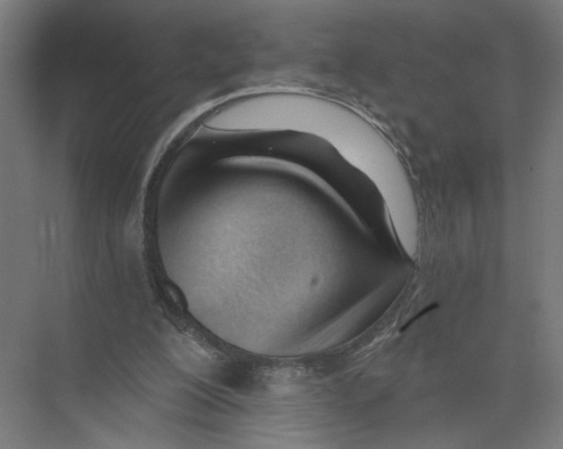 X0000075350200200610061729