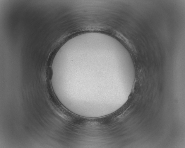 X0000075350203200610061729