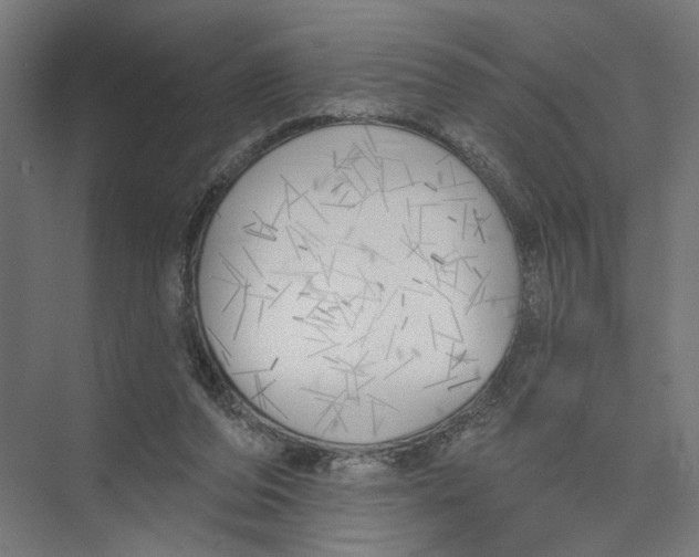 X0000075350208200610061729