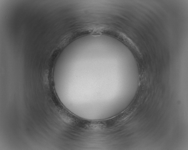 X0000075350209200610061729