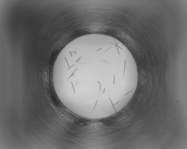 X0000075350210200610061729