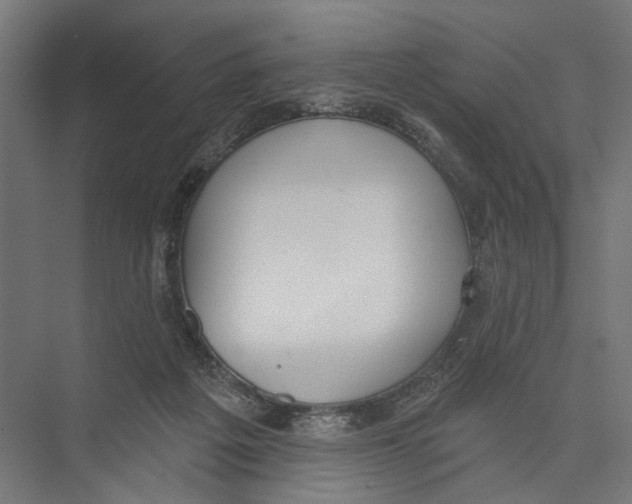 X0000075350217200610061729
