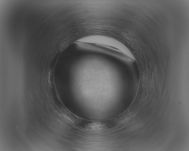 X0000075350219200610061729