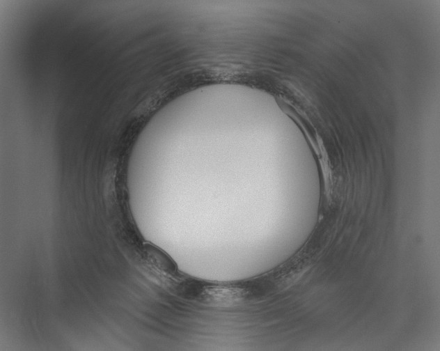 X0000075350221200610061729