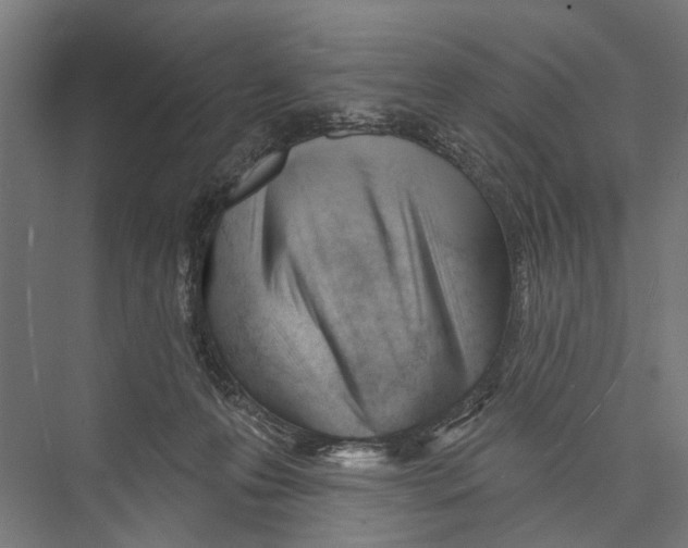 X0000075350223200610061729