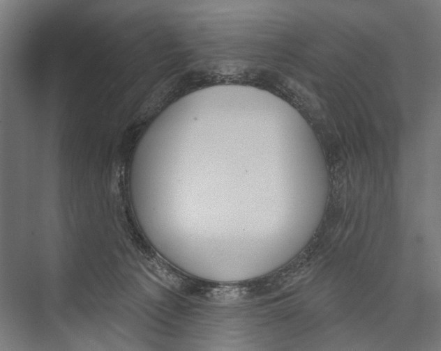 X0000075350225200610061729