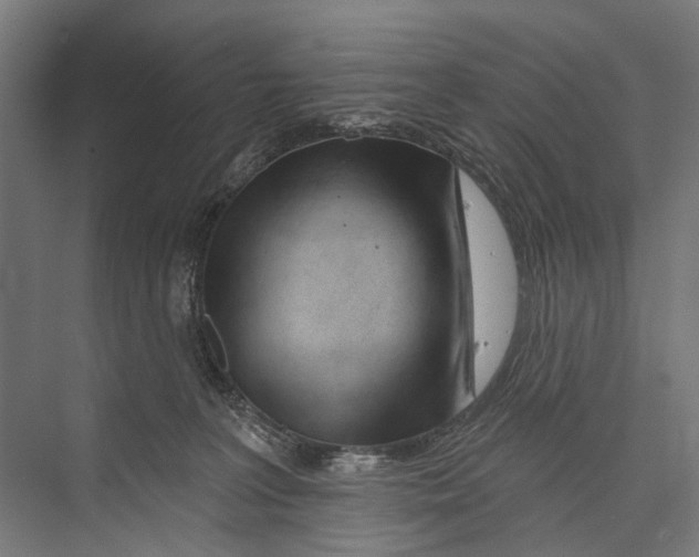 X0000075350227200610061729