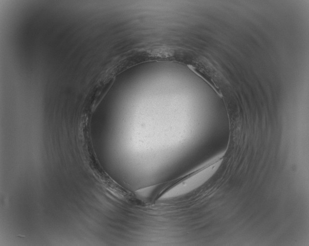 X0000075350229200610061729