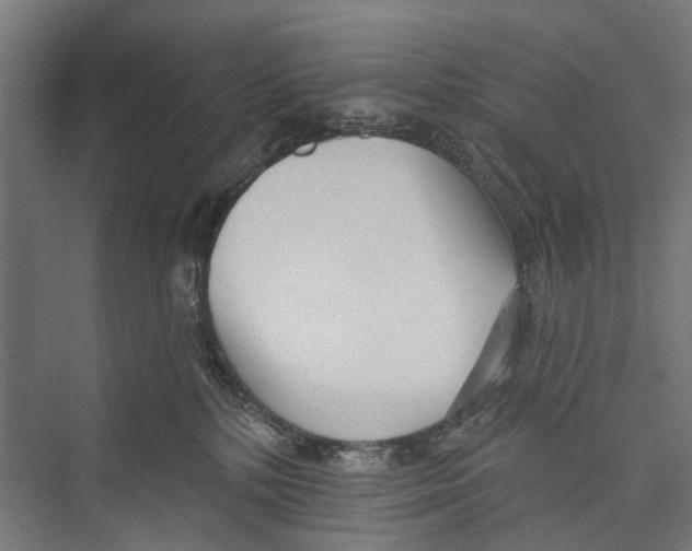 X0000075350232200610061729
