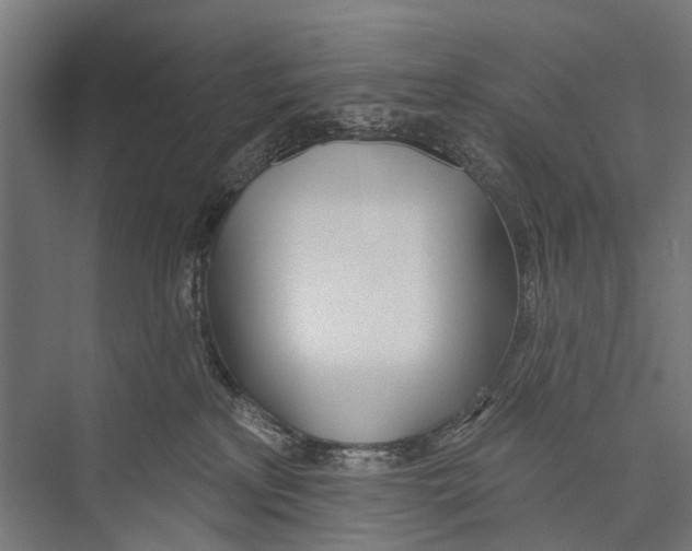 X0000075350233200610061729