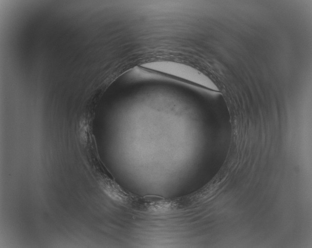 X0000075350235200610061729