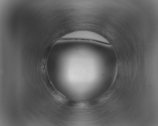 X0000075350237200610061729