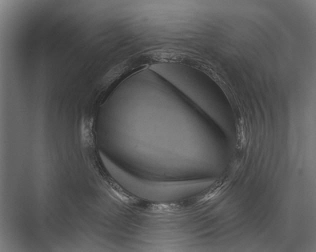 X0000075350239200610061729