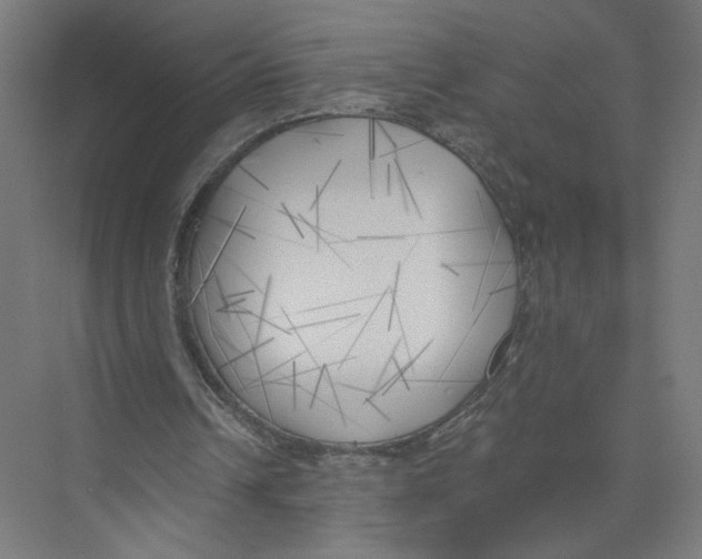 X0000075350242200610061728