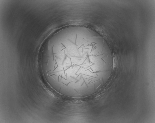 X0000075350243200610061728
