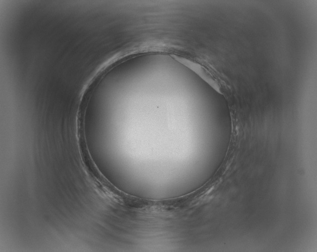 X0000075350244200610061728