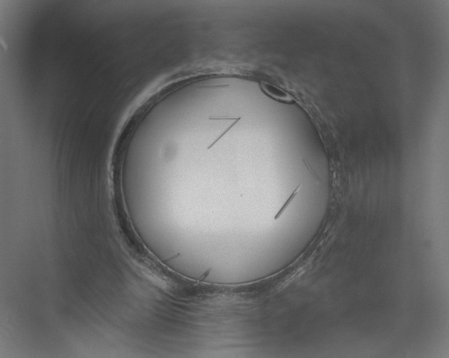 X0000075350246200610061728