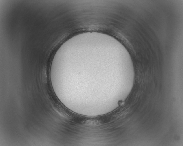 X0000075350251200610061728