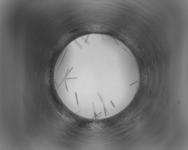 X0000075350255200610061728