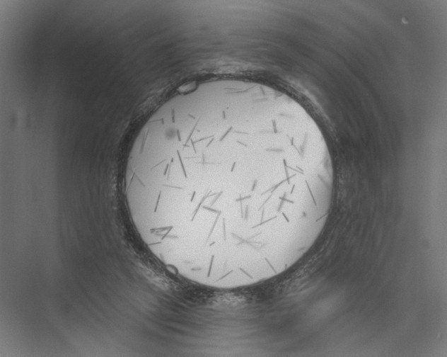 X0000075350257200610061728