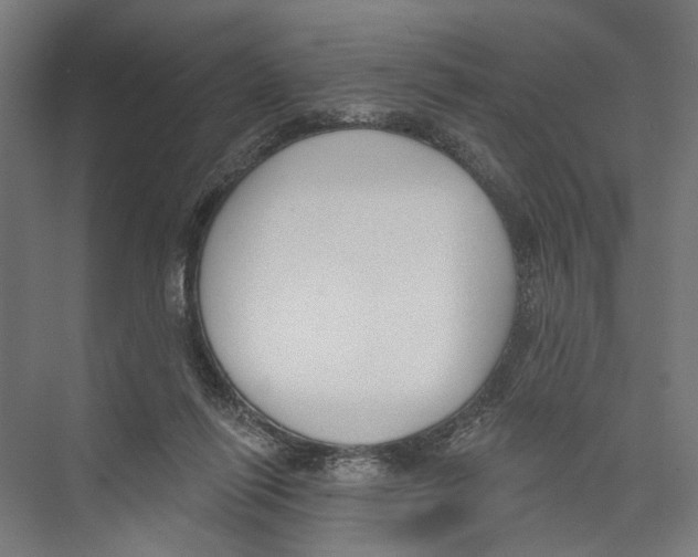 X0000075350262200610061728