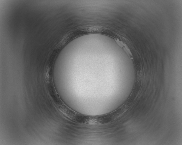 X0000075350264200610061728