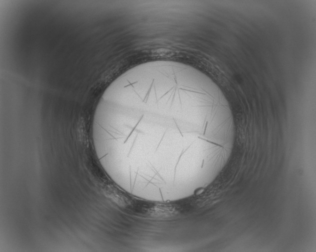 X0000075350270200610061728
