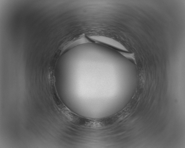 X0000075350276200610061729