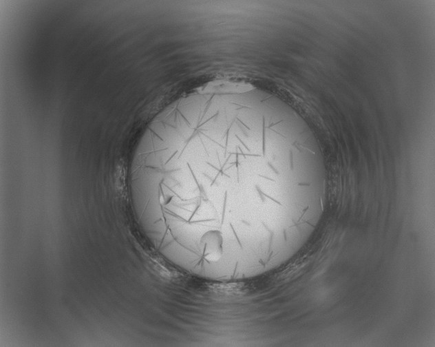 X0000075350281200610061729