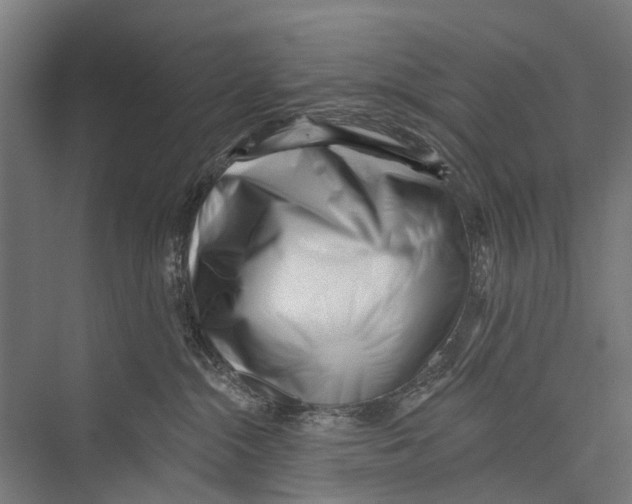 X0000075350284200610061729