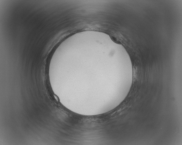 X0000075350291200610061728