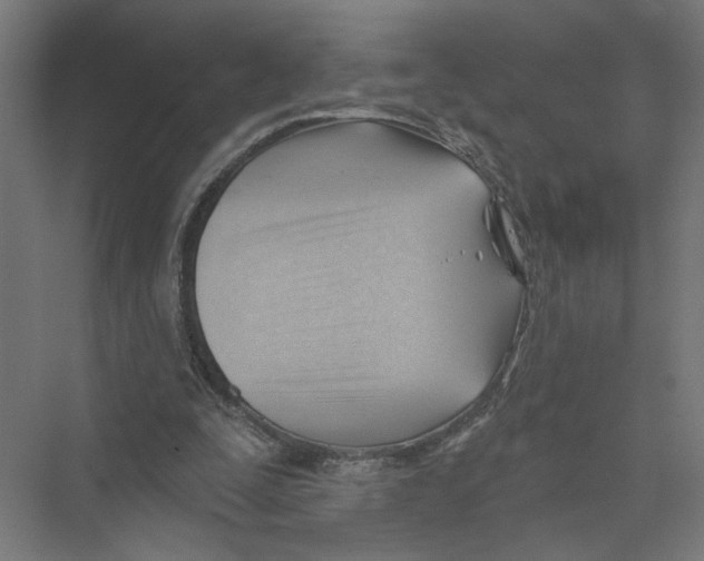X0000075350295200610061728